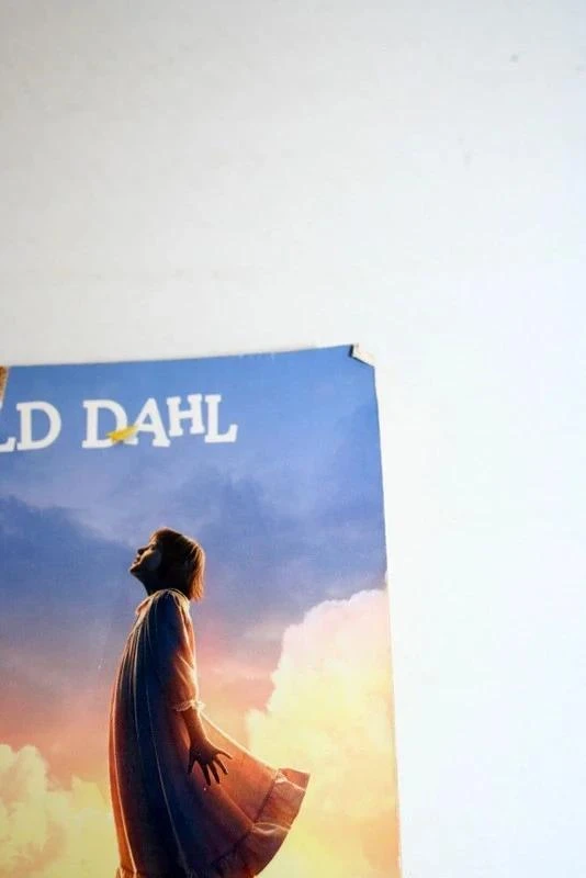 El BGG, el Buen Gran Gigante, de Roald Dahl – photo 5